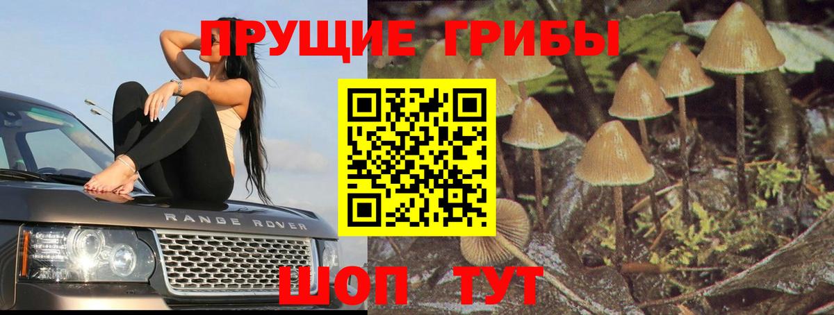 Псилоцибиновые грибы Magic Shrooms  Вход с VPN  Псилоцибиновые грибы GOLDEN TEACHER  Пенза 