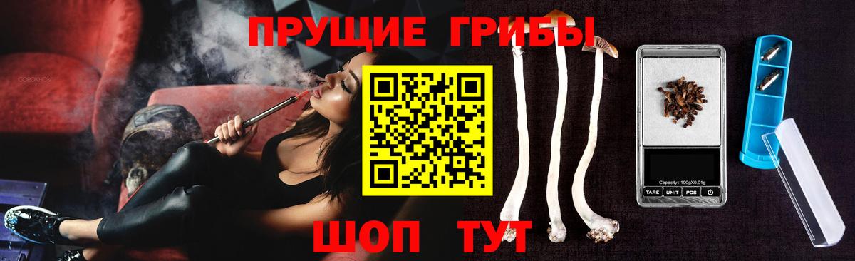 Галлюциногенные грибы Cubensis Пенза