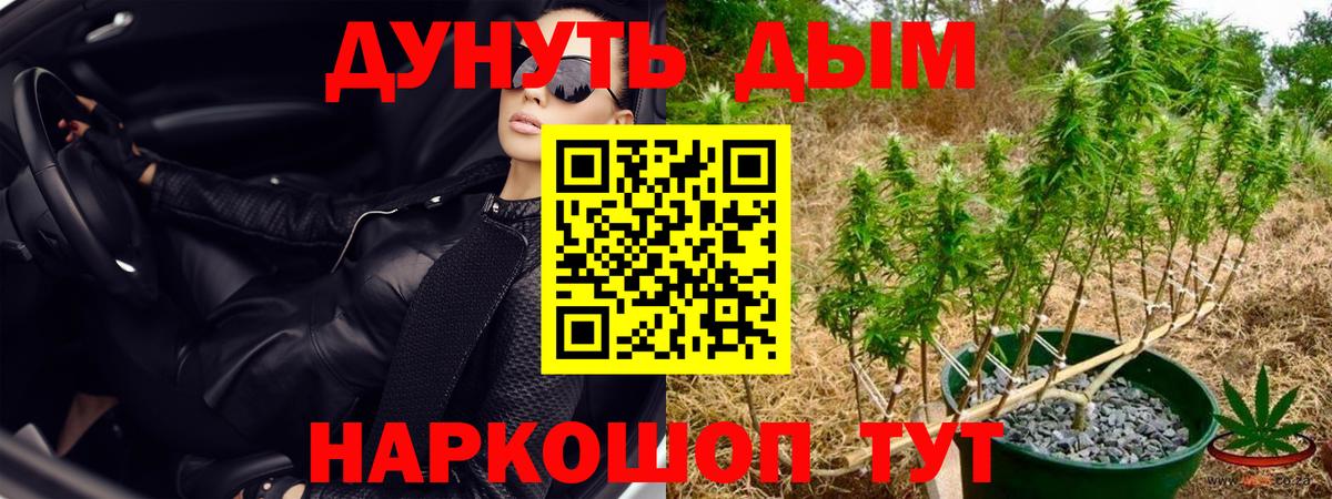 Конопля White Widow Пенза